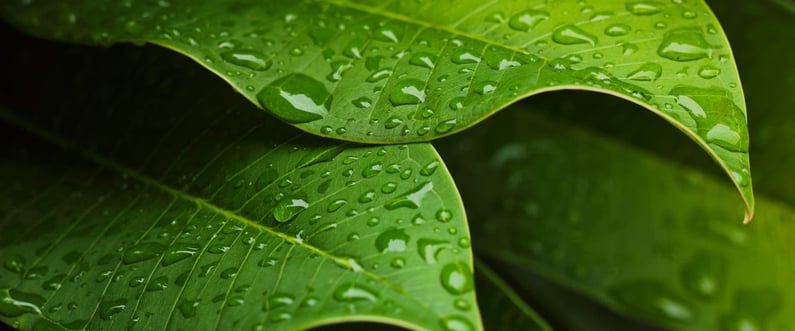 Environmental-2