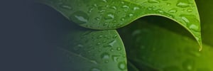 Resources _ Environmental Policy